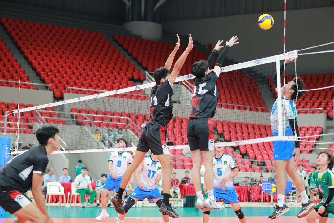 十五運粵港澳排球測試賽